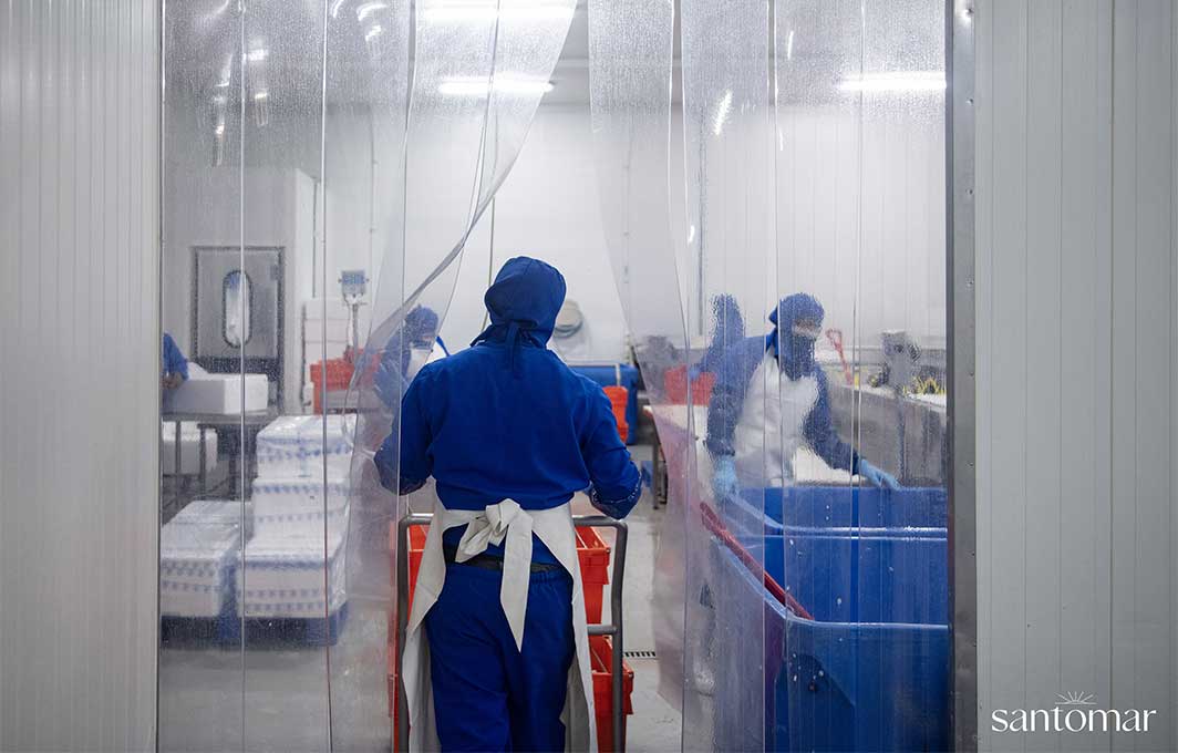 Santomar apuesta por la acuacultura regenerativa de Totoaba