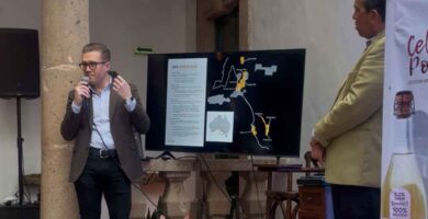 Cellar Point presenta 29 etiquetas para conquistar paladares mexicanos